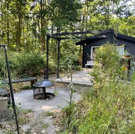 House Among The Trees Wild By Nature *